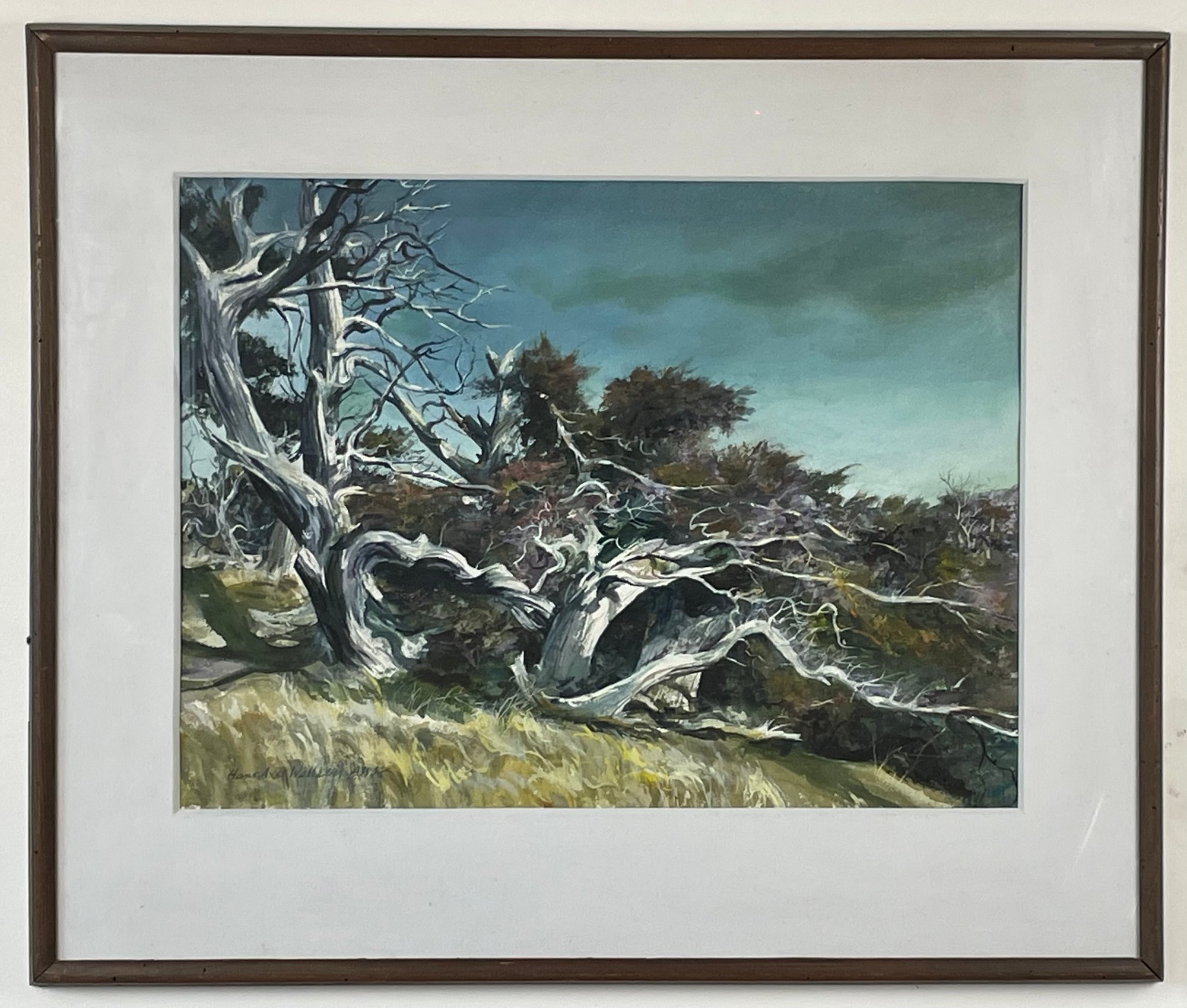 MERCY TREES オランダ写真家　Hans van Ommeren 写真集 Hans Axel Walleen American Watercolor Society Member Watercolor
