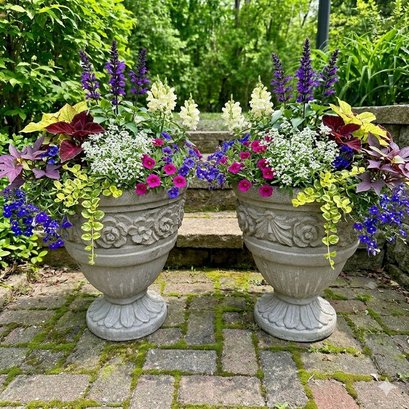 Pair Of Cement Planters - Urn Style