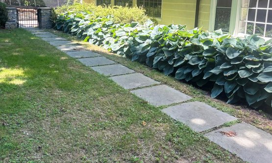 Large Bluestone Pavers - Un-mortared - Over 15 Pieces!  Rear Walkway