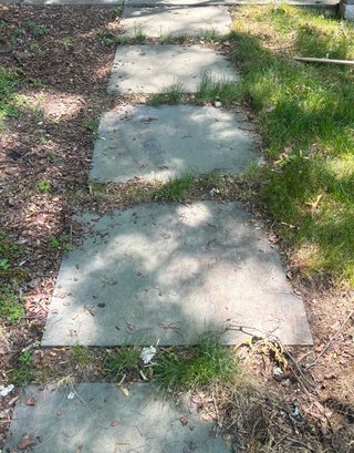 Large Bluestone Pavers - Un-mortared - 8 Pieces!  Side Walkway