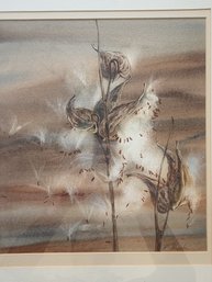 ROBERTA THRESHER American, 1974-2002, Original Painting Of Milkweed