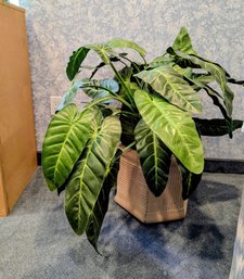 Ceramic Planter With Faux Alocasia / Elephant Plant
