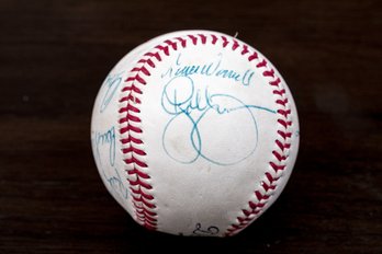 Multi Signature Rawlings Baseball