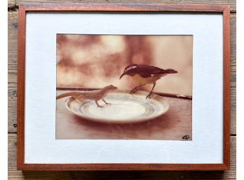 ‘Bird And Lizard’ Original Sepia Toned Photographic Print Signed