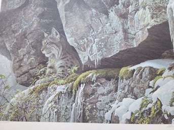 Signed Numbered Robert Bateman At The Cliff Bobcat Litho