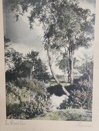 Hal Burrowes Ca 1900 Hand Tinted Photo Framed