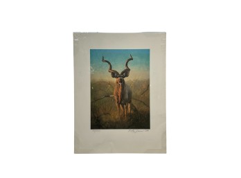 Peter Darro SAA Signed Limited Edition Kudu Wildlife Print 319/1500