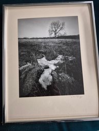 Vintage Signed J. Tiffany Silver Gelatin Landscape Photograph- 3rd Party Shipping