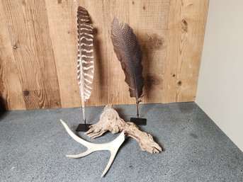 Nature-Inspired Decor Trio - Antler, Driftwood & Mounted Feathers