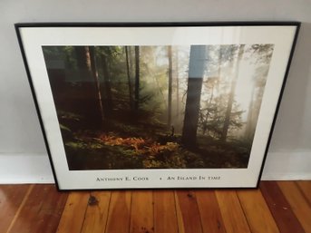 Anthony E. Cook - An Island In Time Print