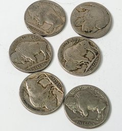 6 Buffalo Nickels