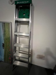 6 Foot Stainless Steel Ladder