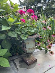 Pair Of Cast Iron Planters With Live Geranium Plants