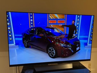 LG 65' Flat Screen TV On Stand