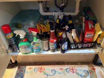 What's Under Your Kitchen Sink? This One Is FULL!