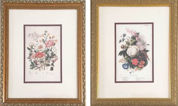 Botanical Print Diptych