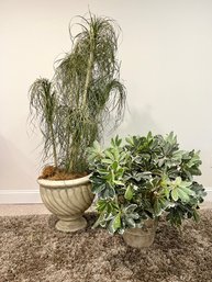 Two Faux Plants In Composite Planters