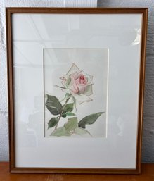Signed & Framed Water Color Of A Rose
