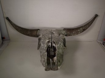 Cow Or Bull Skull With Horns