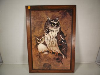 Framed Owl Print - Screech