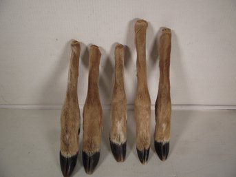 Lot Of 5 Deer Legs With Hooves - Taxidermy