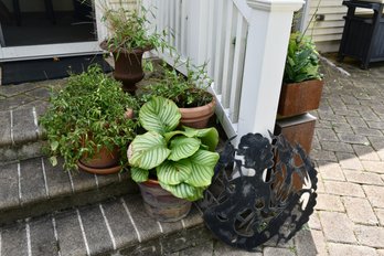 Collection Of Plants And Sculpted Steel Sculpture