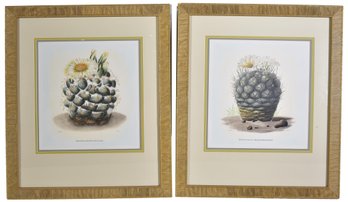 Pair Of Framed Botanical Prints Of The Barrel Cactus