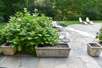 Three Concrete Planters With Grapevine Design
