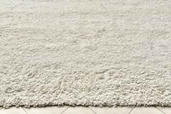 Easy Shag Area Rug