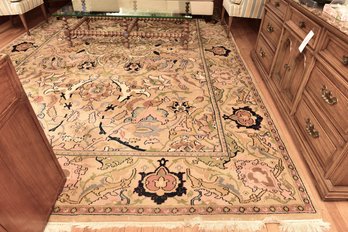 Hand Knotted Area Rug