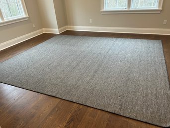 Silvery/Blue Area Rug