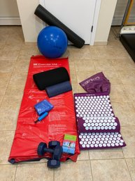 Exercise Mat With Instructions, Sane Fitness Workout Guides, 5lb Weights, Battat Activity Ball & More