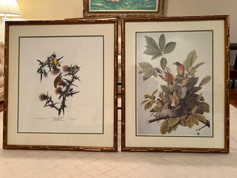 Framed Audubon Plates, Birds, In Gilt Bamboo Style Frames,