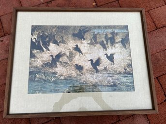 'Skyward' By Robert Schmitt, Flock Of American Greenwinged Teals Exploding In Flight