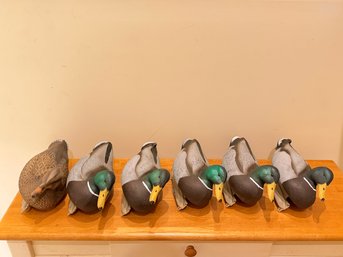 Set Of 6 Flambeau Plastic Stormfront Duck Decoys