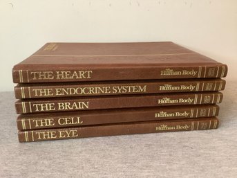 The Human Body Book Lot #7