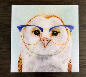 Owl Print Under Glass