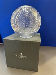 Seahorse Rose Bowl 6'  W/box