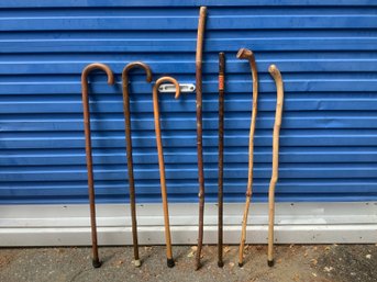 Mixed Cane Lot