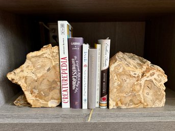 Petrified Wood Bookends