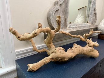 Sculptural Driftwood