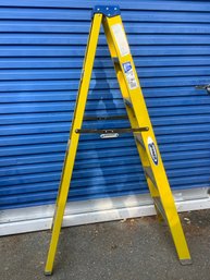 Werner 6' Ladder