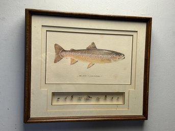 Vintage ERNEST SCHWIEBERT Rainbow Trout Lithograph In Shadow Box Presentation With 9 Hand-tied Fishing Flies