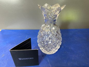 Pineapple Vase 8' W/ Box