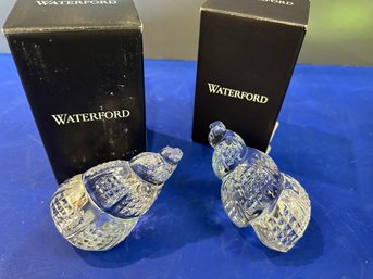 Exclusive Conch Shell 4 1/2'  Set Of 2 In Two Boxes