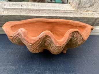 Large Terra Cotta Shell Info