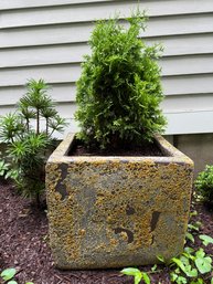 Terrain Square Planter (2 Of 3)