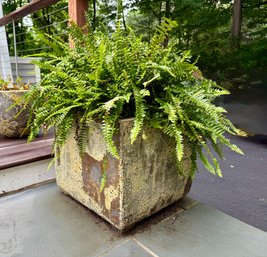 Terrain Square Planter (1 Of 3)