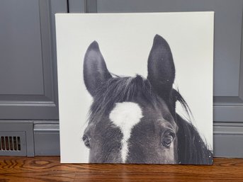 ' All Ears ' By Chelsea Victoria Print On Canvas