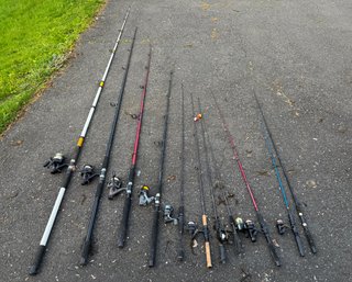 Saltwater And Freshwater Fishing Rods/reels
